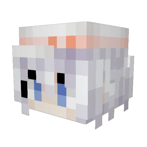 Red_jay_ Minecraft avatar head, 3D render