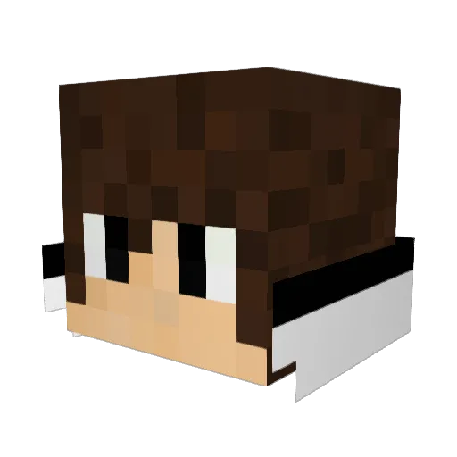 Red_rey Minecraft avatar head, 3D render