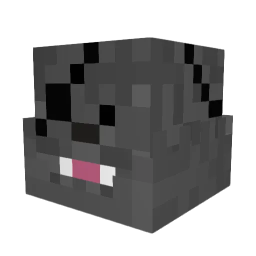 Redbacca123 Minecraft avatar head, 3D render