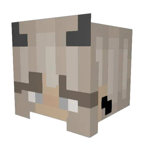 Redbearoo Minecraft avatar head, 3D render