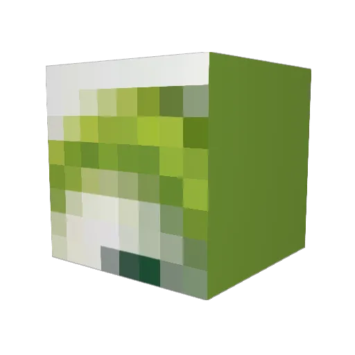 Redbering Minecraft avatar head, 3D render