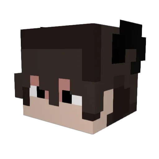 Redcool Minecraft avatar head, 3D render