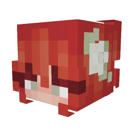 Redd_Trash Minecraft avatar head, 3D render