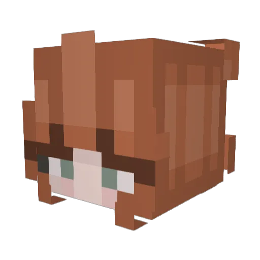 Reddishgoblin Minecraft avatar head, 3D render