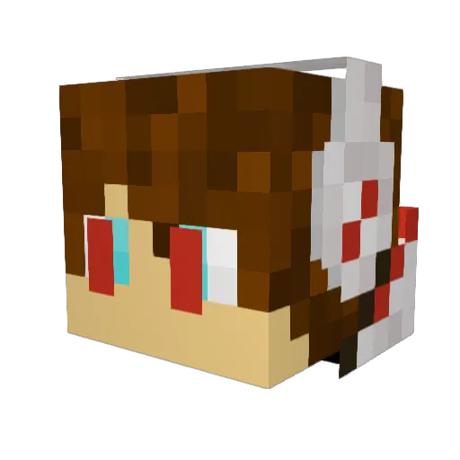 Redeye42 Minecraft avatar head, 3D render