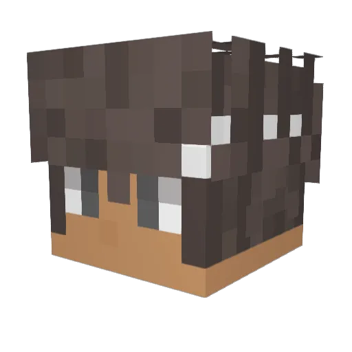 Redgamer131 Minecraft avatar head, 3D render