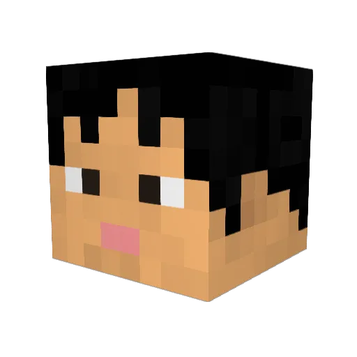 Redlark Minecraft avatar head, 3D render