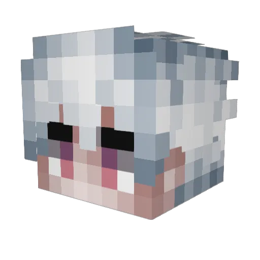 Redlord_ Minecraft avatar head, 3D render