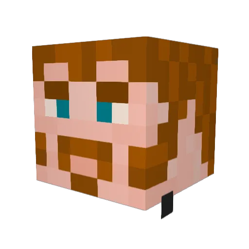 Redmires_ Minecraft avatar head, 3D render