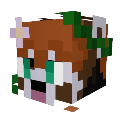 Redna67 Minecraft avatar head, 3D render