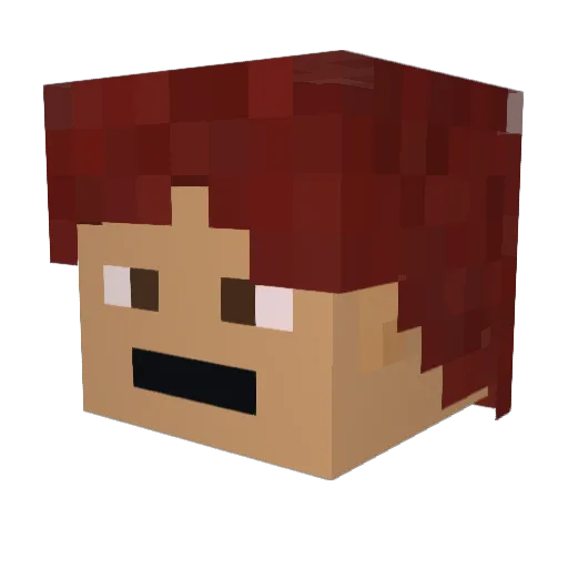 Redna_9628 Minecraft avatar head, 3D render