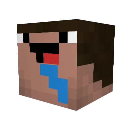 Rednax4913 Minecraft avatar head, 3D render