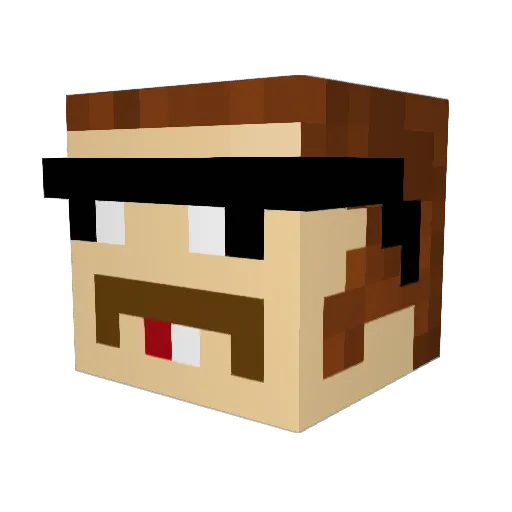 Redneck6987 Minecraft avatar head, 3D render