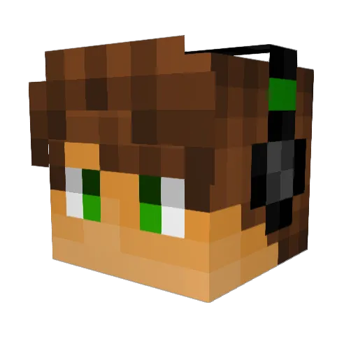 Redneck_Gamer98 Minecraft avatar head, 3D render