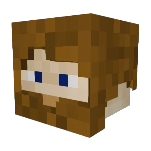 RednekCharm Minecraft avatar head, 3D render