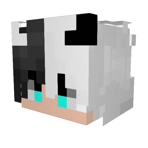 Redo753 Minecraft avatar head, 3D render