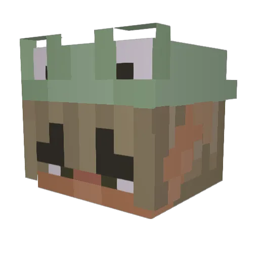 RedoxRXN29 Minecraft avatar head, 3D render