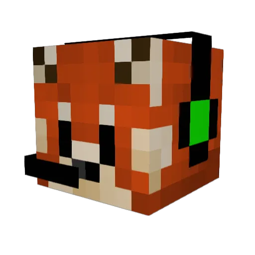 RedpandaMaster56 Minecraft avatar head, 3D render
