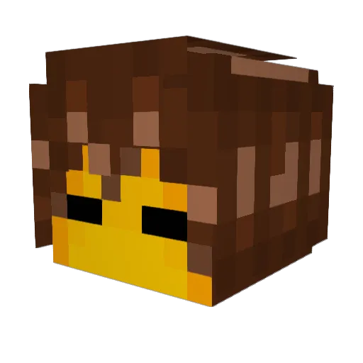 Redseas08 Minecraft avatar head, 3D render