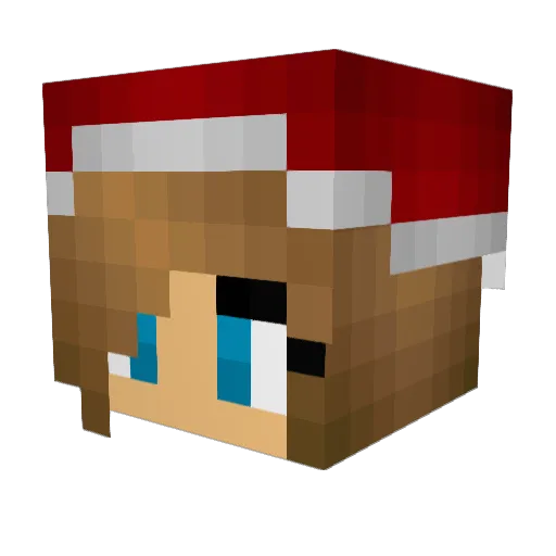 Redshoe9 Minecraft avatar head, 3D render