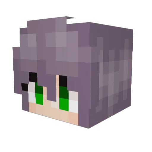 Redsine Minecraft avatar head, 3D render