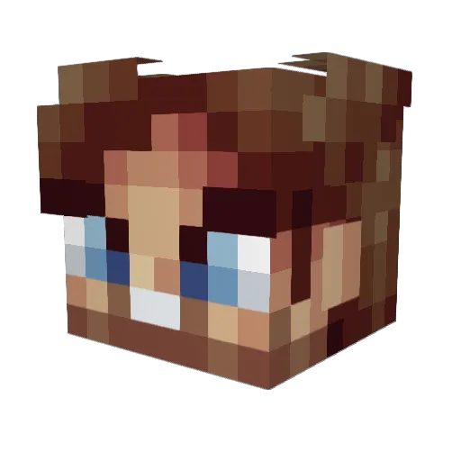 RedskinsWR1 Minecraft avatar head, 3D render