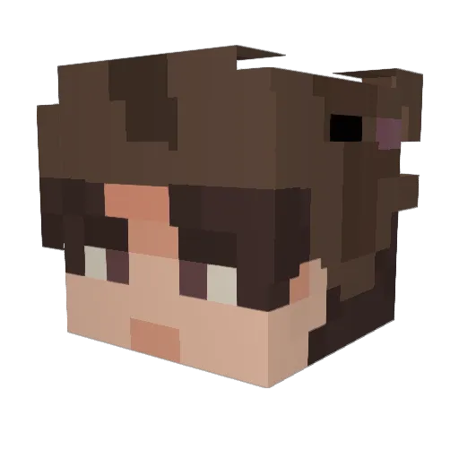 Redstone030 Minecraft avatar head, 3D render