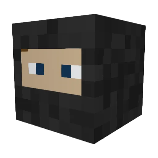 RedstoneNinja7 Minecraft avatar head, 3D render