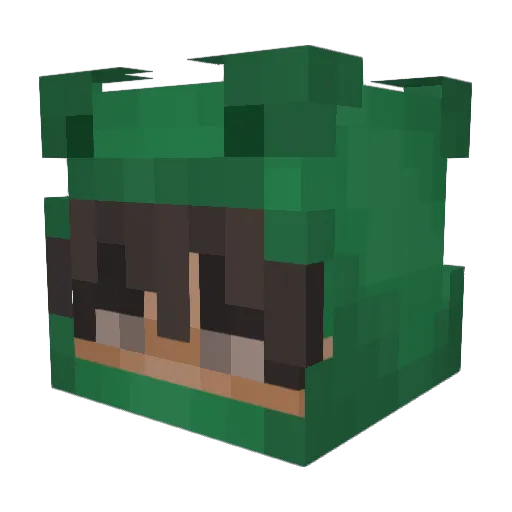 Redstonecraft707 Minecraft avatar head, 3D render