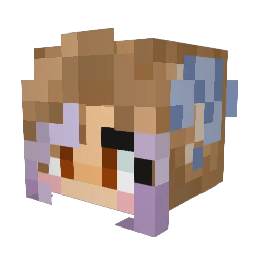 Redstonegamers5 Minecraft avatar head, 3D render