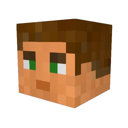 Redstool0 Minecraft avatar head, 3D render