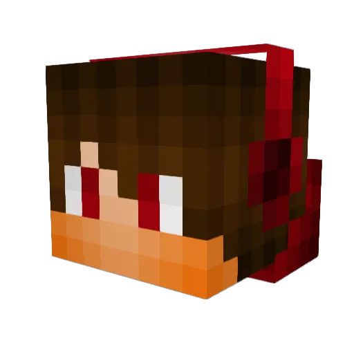 Redsupport Minecraft avatar head, 3D render