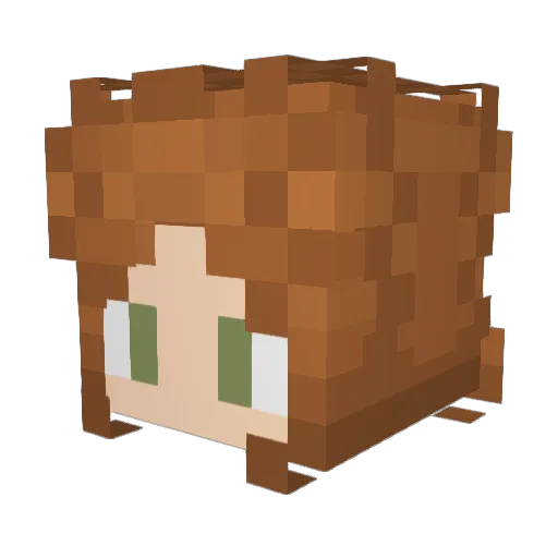 Redwing3112 Minecraft avatar head, 3D render