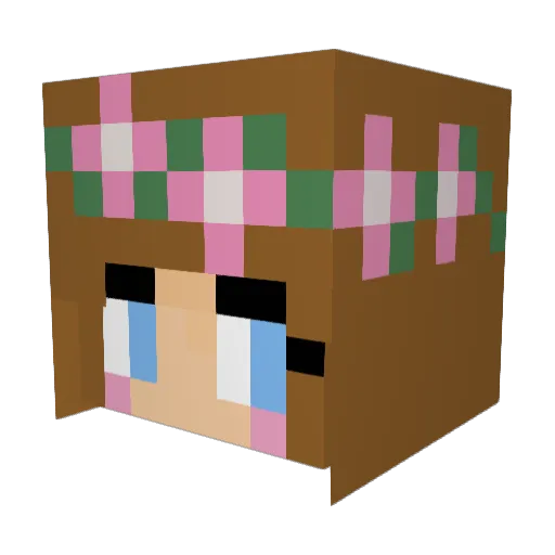 Redz02 Minecraft avatar head, 3D render