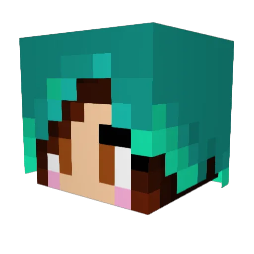 ReeBitReeBit Minecraft avatar head, 3D render