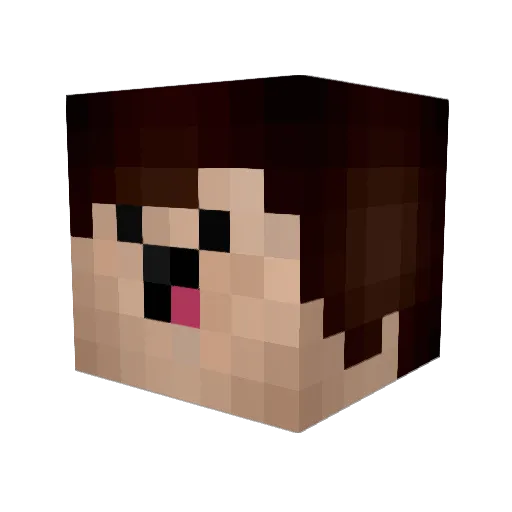 ReeMiiXDeluxee Minecraft avatar head, 3D render