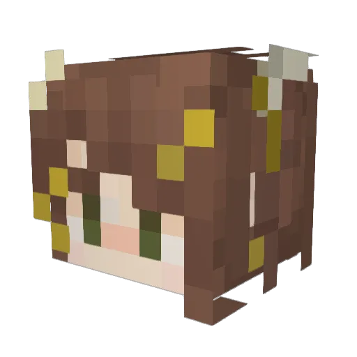 ReePern Minecraft avatar head, 3D render