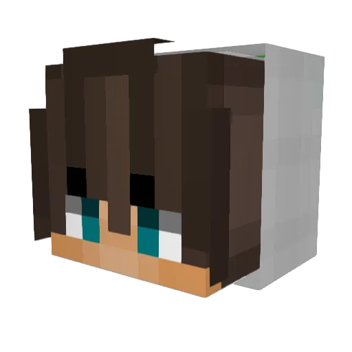 ReeVv Minecraft avatar head, 3D render