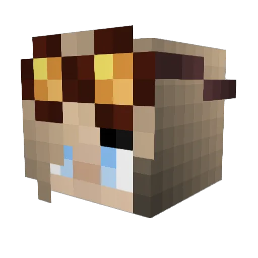 Reebee1823 Minecraft avatar head, 3D render