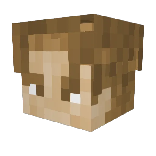 Reececups33 Minecraft avatar head, 3D render