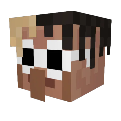ReeciePooh Minecraft avatar head, 3D render