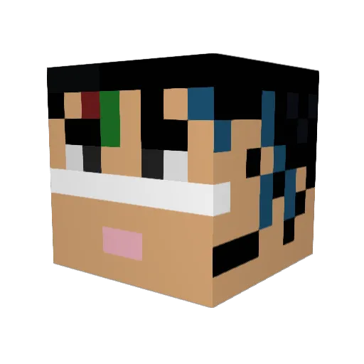 ReedPrice Minecraft avatar head, 3D render