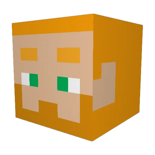 ReederDeeder Minecraft avatar head, 3D render
