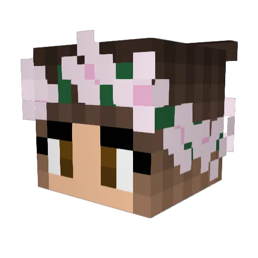 Reedo9 Minecraft avatar head, 3D render