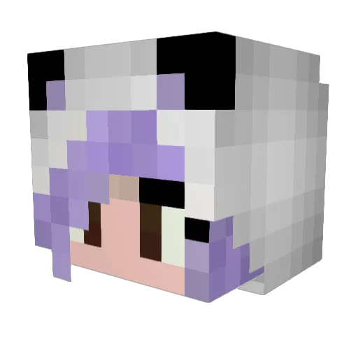Reedoman Minecraft avatar head, 3D render