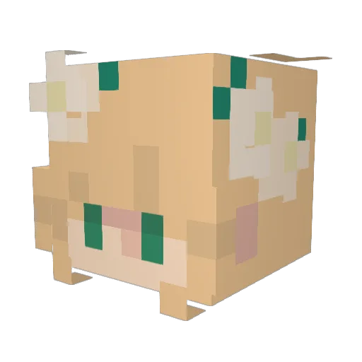 Reedy20022 Minecraft avatar head, 3D render