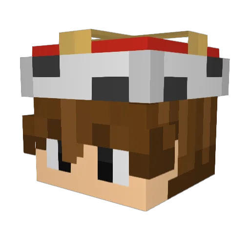 Reedy2405 Minecraft avatar head, 3D render