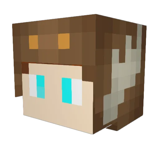 Reedyboy316 Minecraft avatar head, 3D render