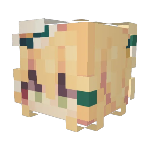 Reeeyl Minecraft avatar head, 3D render