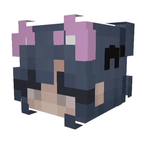 Reefos Minecraft avatar head, 3D render